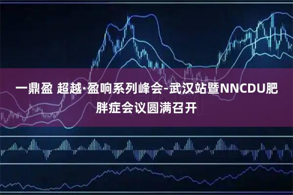 一鼎盈 超越·盈响系列峰会-武汉站暨NNCDU肥胖症会议圆满召开
