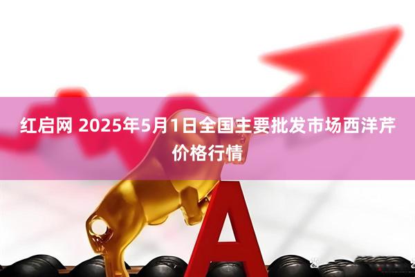 红启网 2025年5月1日全国主要批发市场西洋芹价格行情