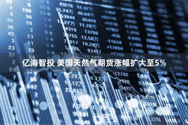 亿海智投 美国天然气期货涨幅扩大至5%