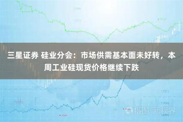 三星证券 硅业分会：市场供需基本面未好转，本周工业硅现货价格继续下跌