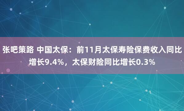 张吧策路 中国太保：前11月太保寿险保费收入同比增长9.4%，太保财险同比增长0.3%