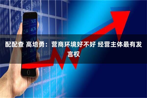 配配查 高培勇：营商环境好不好 经营主体最有发言权