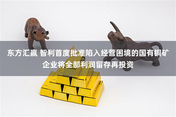东方汇赢 智利首度批准陷入经营困境的国有铜矿企业将全部利润留存再投资